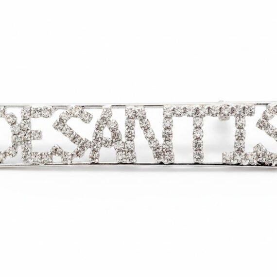 🇺🇸 Sparkling Support: Governor DeSantis Crystal Brooch Pin